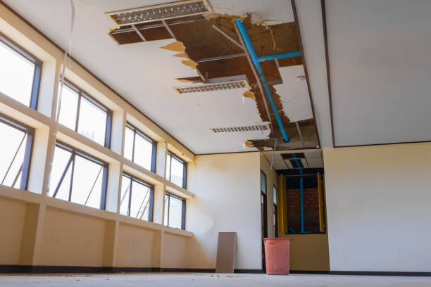 Best Water damage restoration experts  in Lawrenceville, VA