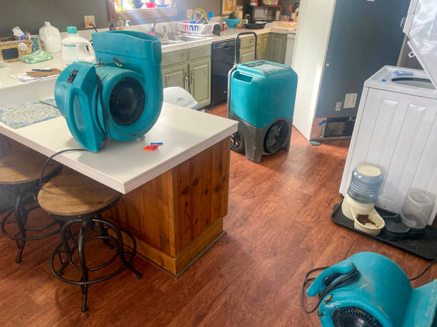 Best Local water damage restoration  in Lawrenceville, VA