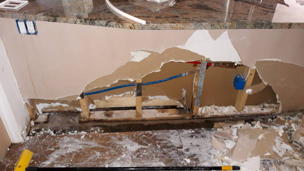 Best Water damage restoration specialists  in Lawrenceville, VA