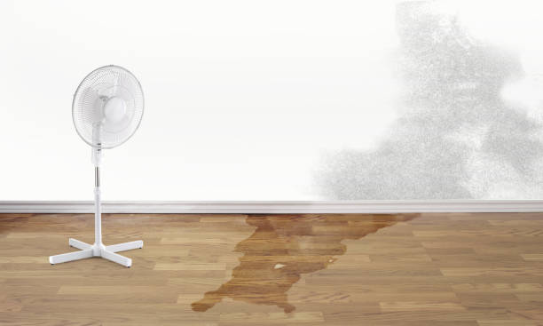 Best Water damage restoration cost  in Lawrenceville, VA
