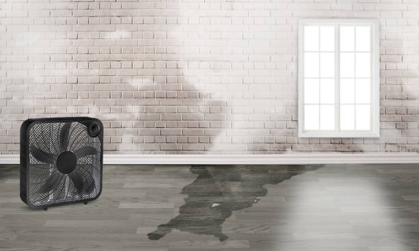 Best Ceiling water damage repair  in Lawrenceville, VA